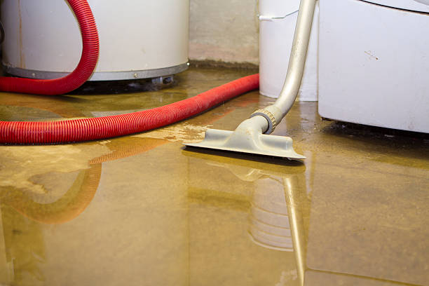 Best 24/7 water damage repair  in Flushing, MI