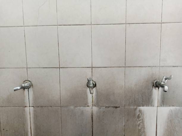 Best Water damage restoration services  in Flushing, MI