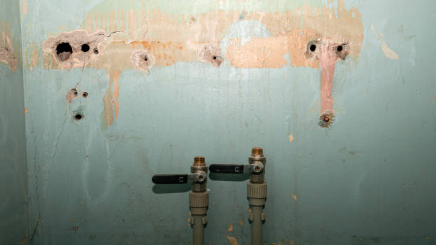 Best Emergency water damage restoration  in Flushing, MI